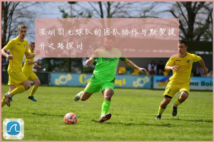 深圳羽毛球队的团队协作与默契提升之路探讨