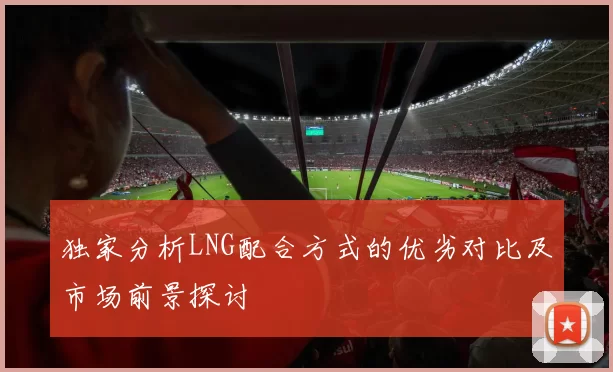 独家分析LNG配合方式的优劣对比及市场前景探讨