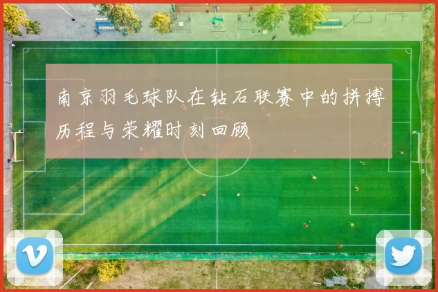 南京羽毛球队在钻石联赛中的拼搏历程与荣耀时刻回顾
