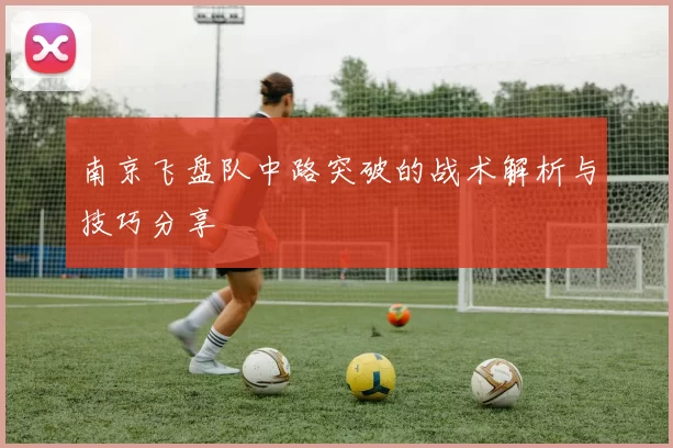南京飞盘队中路突破的战术解析与技巧分享