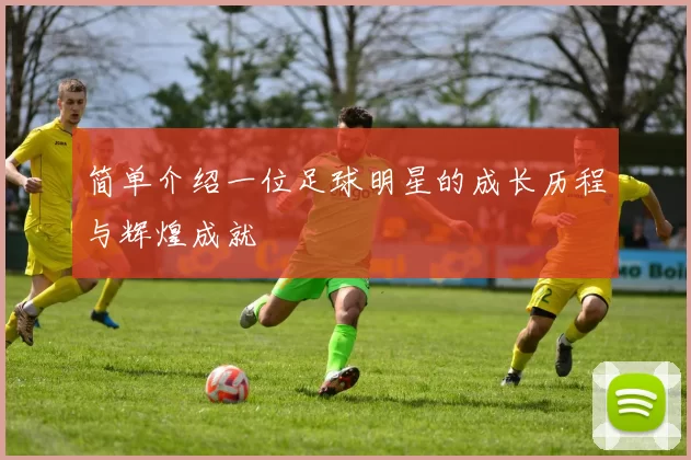 简单介绍一位足球明星的成长历程与辉煌成就