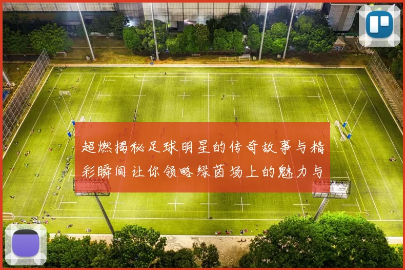 超燃揭秘足球明星的传奇故事与精彩瞬间让你领略绿茵场上的魅力与激情