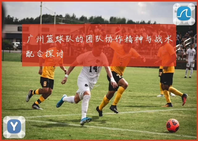 广州篮球队的团队协作精神与战术配合探讨