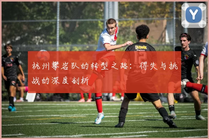 杭州攀岩队的转型之路：得失与挑战的深度剖析