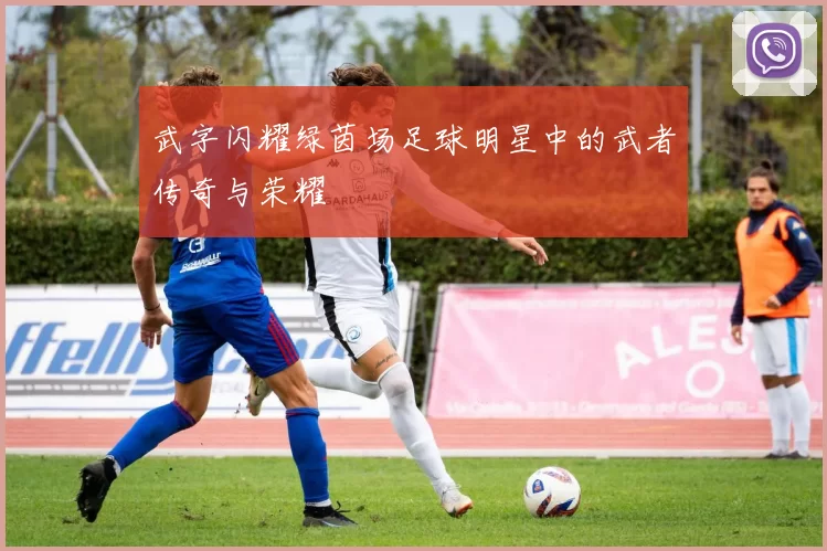 武字闪耀绿茵场足球明星中的武者传奇与荣耀