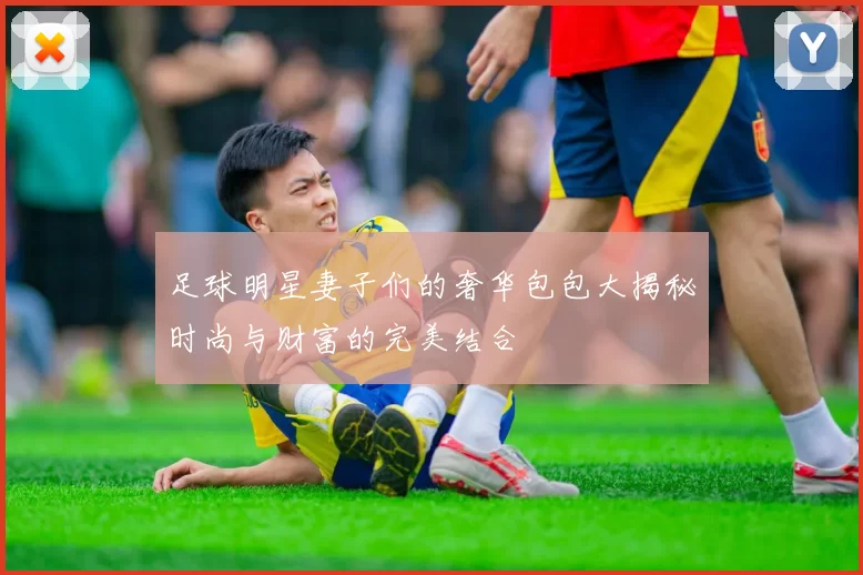 足球明星妻子们的奢华包包大揭秘时尚与财富的完美结合