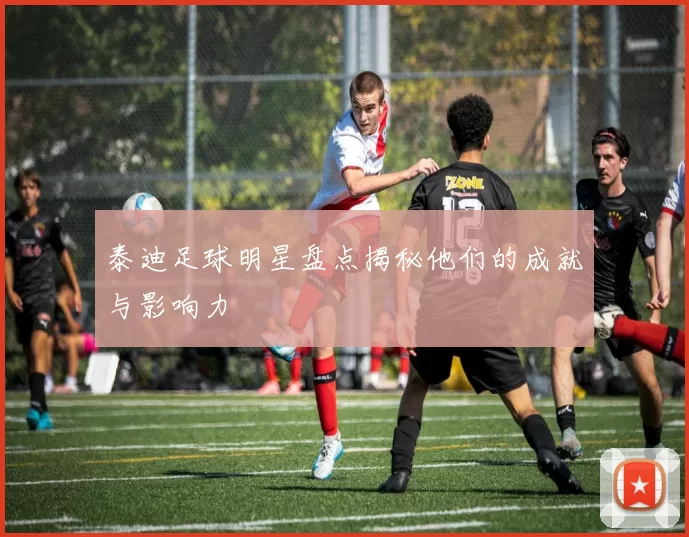 泰迪足球明星盘点揭秘他们的成就与影响力