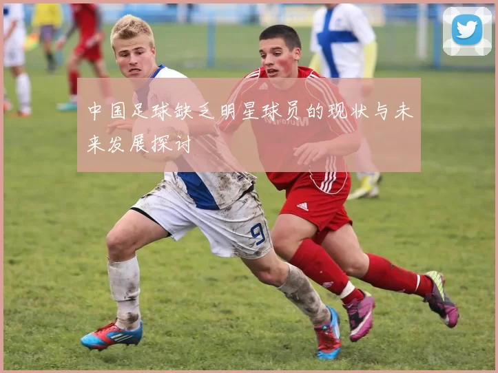 中国足球缺乏明星球员的现状与未来发展探讨