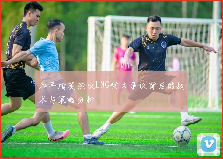 和平精英热议LNG耐力争议背后的战术与策略分析