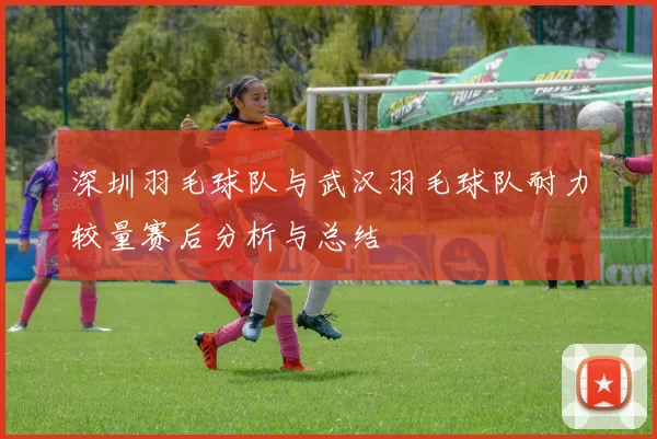 深圳羽毛球队与武汉羽毛球队耐力较量赛后分析与总结