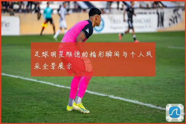 足球明星维德的精彩瞬间与个人风采全景展示