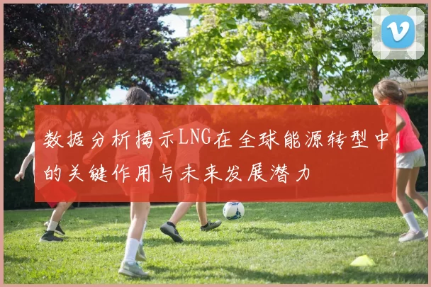 数据分析揭示LNG在全球能源转型中的关键作用与未来发展潜力