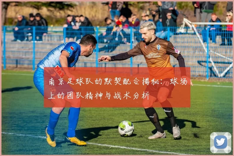 南京足球队的默契配合揭秘：球场上的团队精神与战术分析