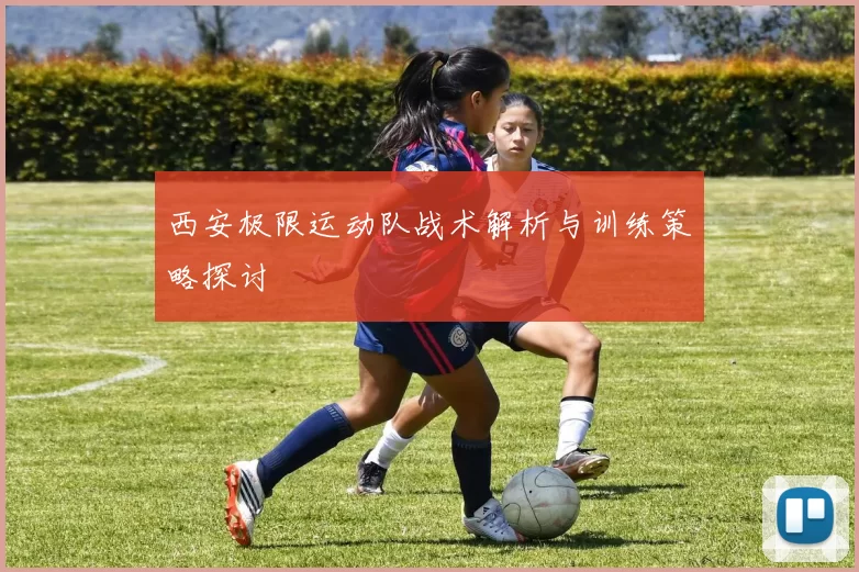西安极限运动队战术解析与训练策略探讨