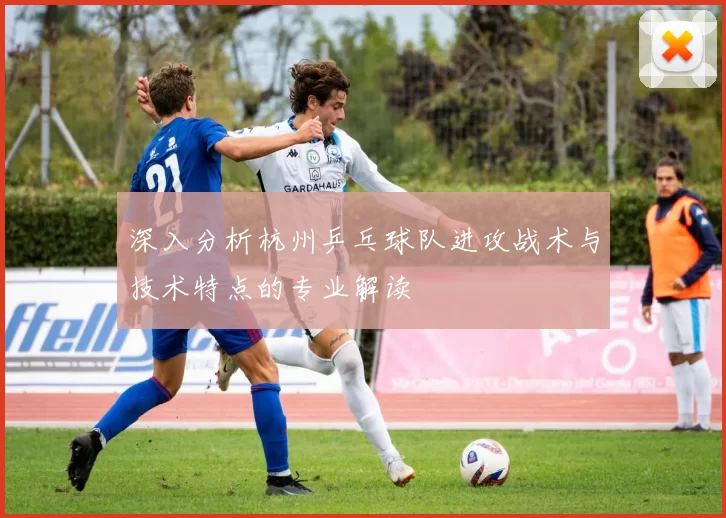 深入分析杭州乒乓球队进攻战术与技术特点的专业解读