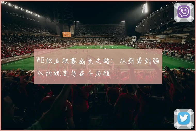 WE职业联赛成长之路：从新秀到强队的蜕变与奋斗历程