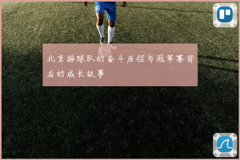 北京排球队的奋斗历程与冠军赛背后的成长故事