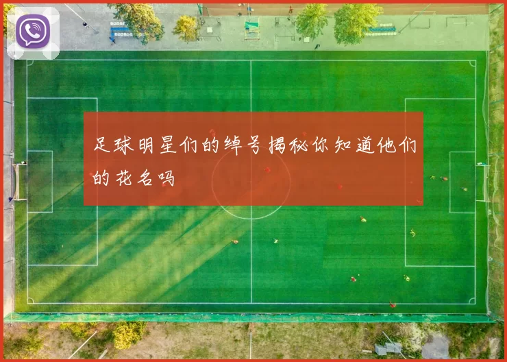 足球明星们的绰号揭秘你知道他们的花名吗