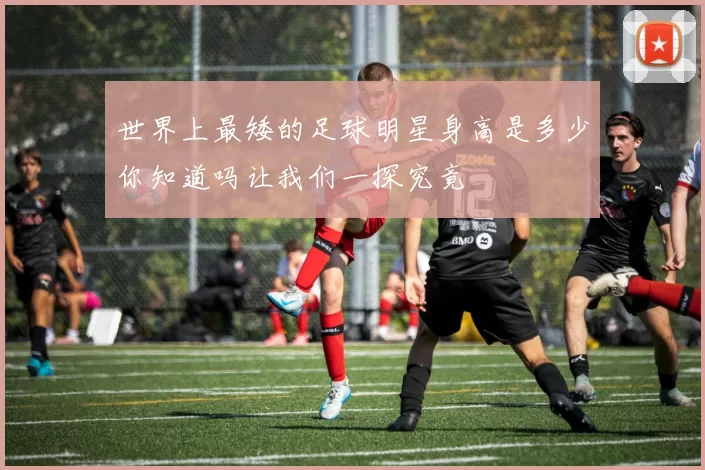 世界上最矮的足球明星身高是多少你知道吗让我们一探究竟