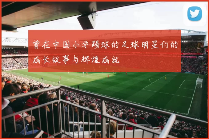 曾在中国小学踢球的足球明星们的成长故事与辉煌成就