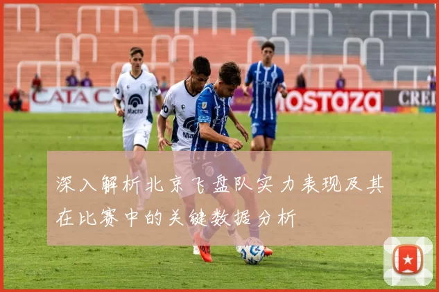 深入解析北京飞盘队实力表现及其在比赛中的关键数据分析