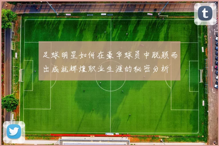 足球明星如何在豪华球员中脱颖而出成就辉煌职业生涯的秘密分析