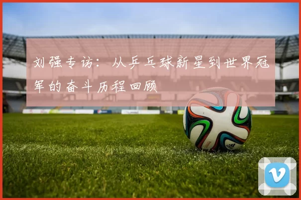 刘强专访：从乒乓球新星到世界冠军的奋斗历程回顾